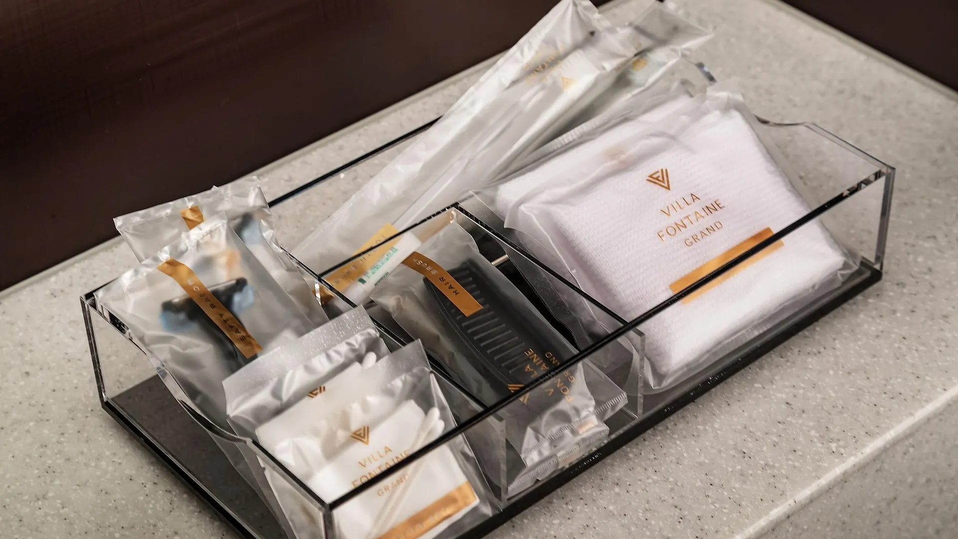 Hotel Villa Fontaine Grand Tokyo-Tamachi  Tokyo